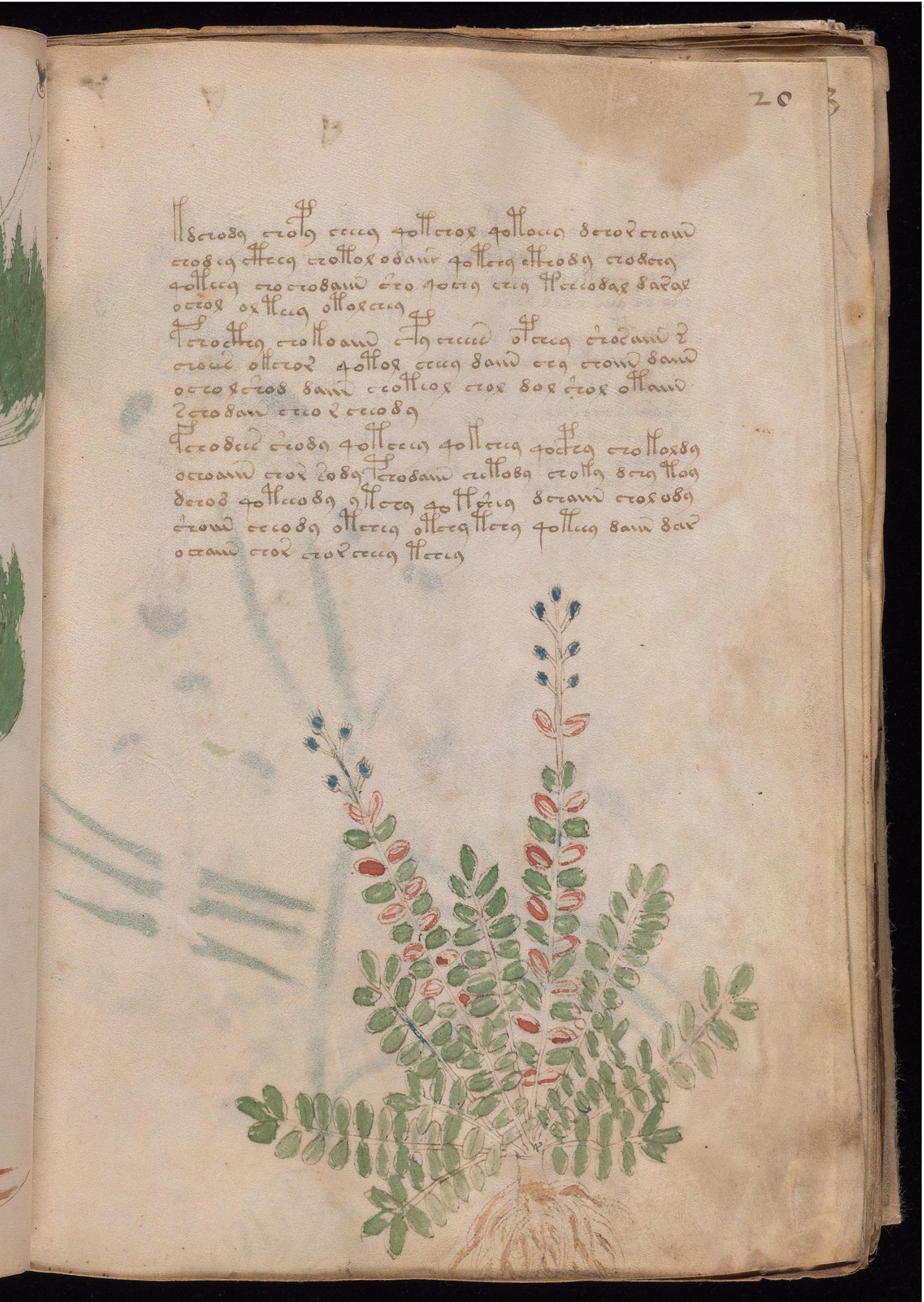 Original manuscript of Folio 20r